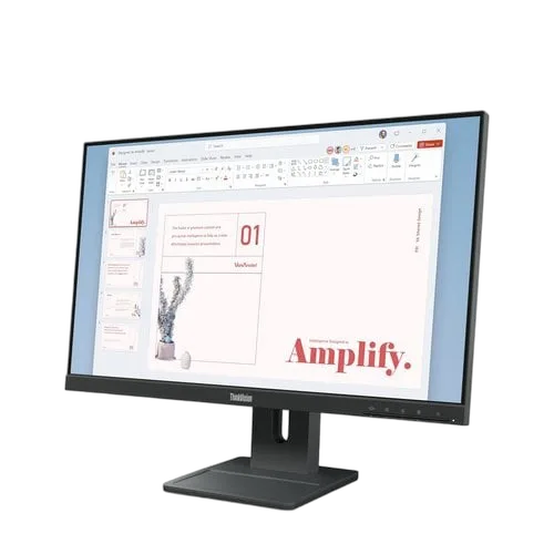 Lenovo THINKVISION E24-40 23.8
