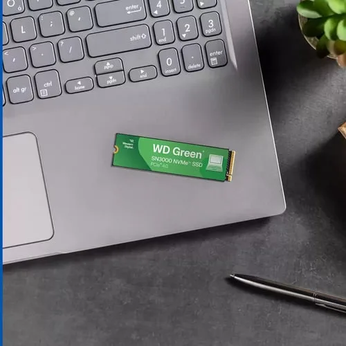 WD Green SN3000 500Go NVMe Gen4