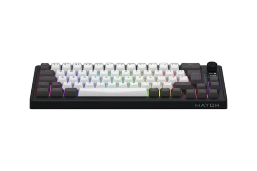 Skyfall 65 Pro - Mécanique/Sans-Fil/RGB/Gris