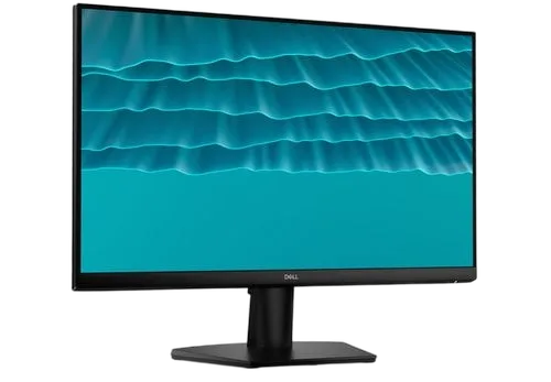 DELL 24 MONITOR — vue 1
