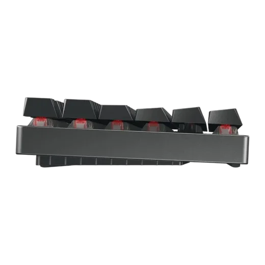 Cherry MX2A 8.2 TKL RGB + Viper V3 Pro — vue 7
