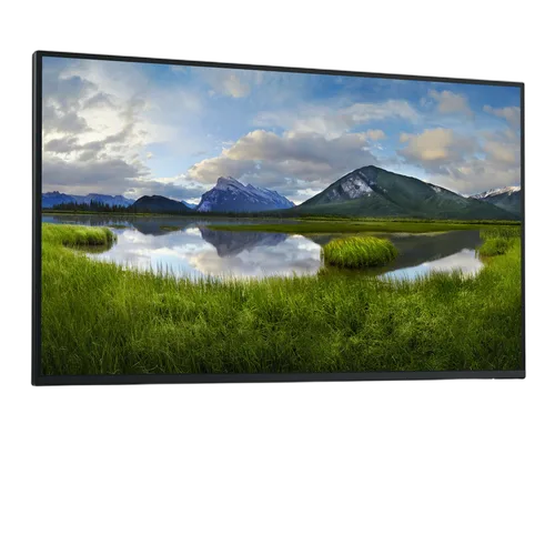 DELL 27 MONITOR - P2725H WITHOUT — vue 2