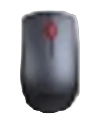 LENOVO PROFESSIONAL WIRELESS