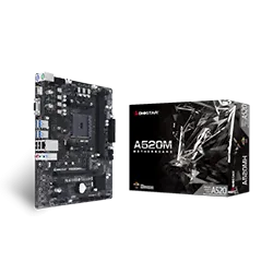 Biostar A520MH