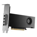 PNY RTX 2000 Ada - RTX2000/16GB/LowProfil — miniature 3