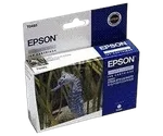 Epson Cartouche T0485 Stylus Photo R200/300 Cyan Clair — miniature 1