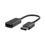 Belkin Adaptateur DP 1.2/HDMI 2.0 mâle/femelle - 22.05cm — miniature 1