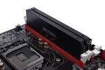 Alphacool Modules D-RAM pour Waterblock - Noir 2 pièces — miniature 3