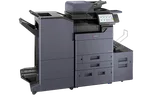 A3
