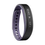 Montres