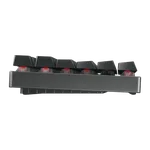 Cherry MX2A 8.2 TKL RGB + Viper V3 Pro — miniature 7
