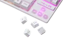 The G-LAB Keyz Caesium TKL - Membrane - Filaire - RGB - Blanc — miniature 3