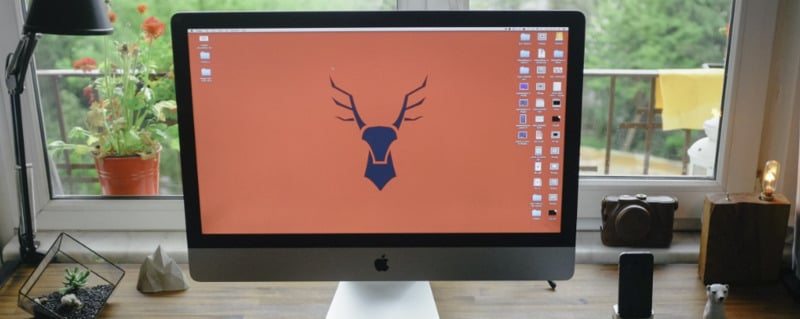 Quelles caractéristiques pour un écran en télétravail